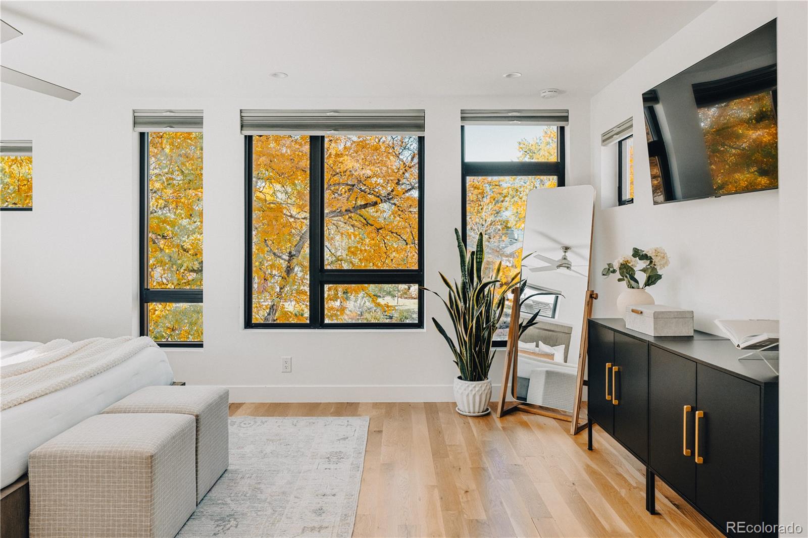 MLS Image #16 for 4538  wolff street,denver, Colorado