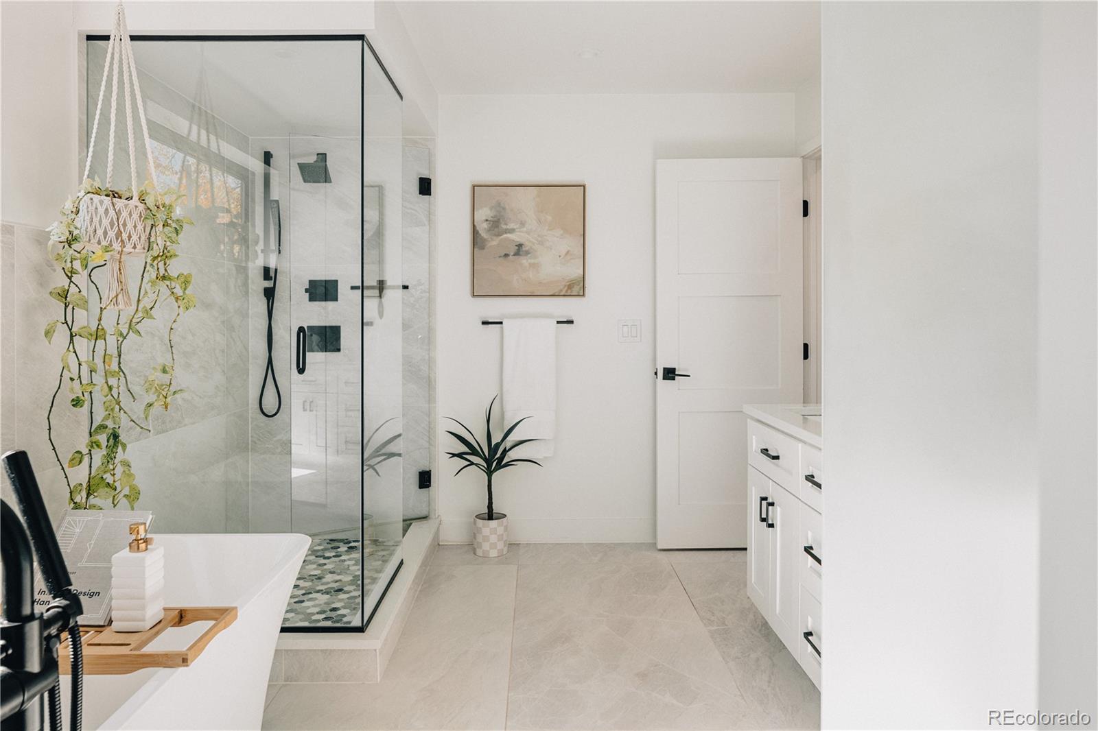 MLS Image #19 for 4538  wolff street,denver, Colorado