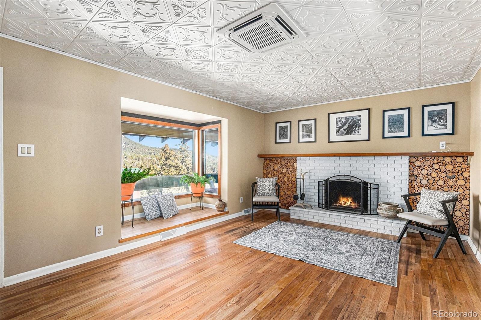 MLS Image #2 for 10148 s turkey creek road,morrison, Colorado