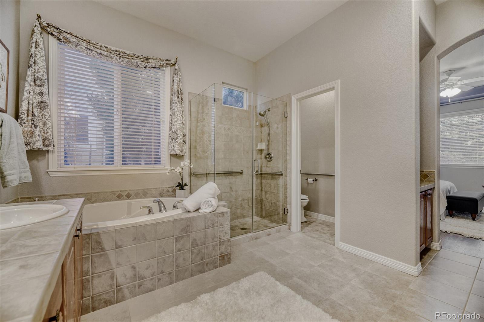 MLS Image #22 for 2609  pemberly avenue,highlands ranch, Colorado