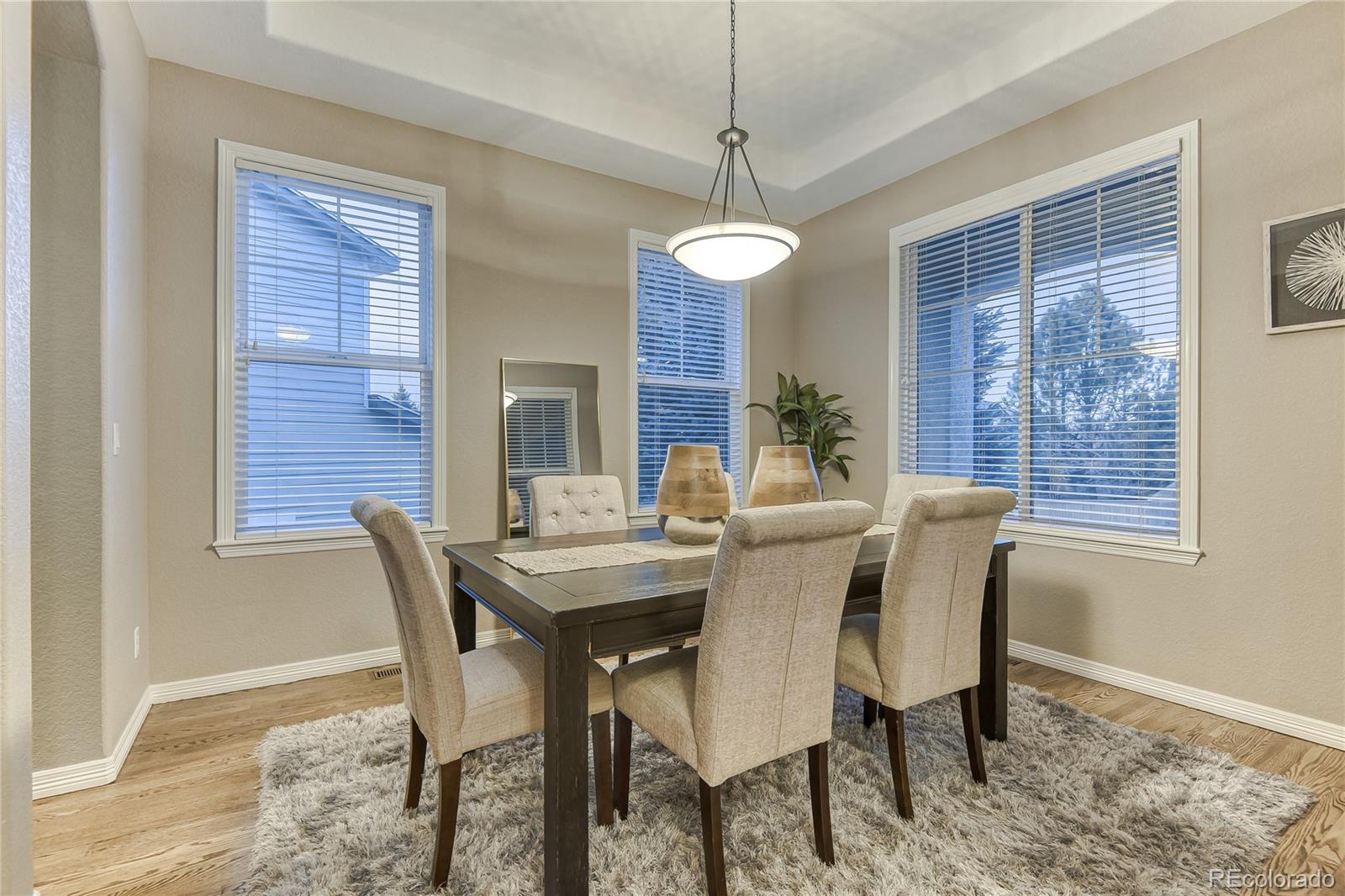 MLS Image #6 for 2609  pemberly avenue,highlands ranch, Colorado