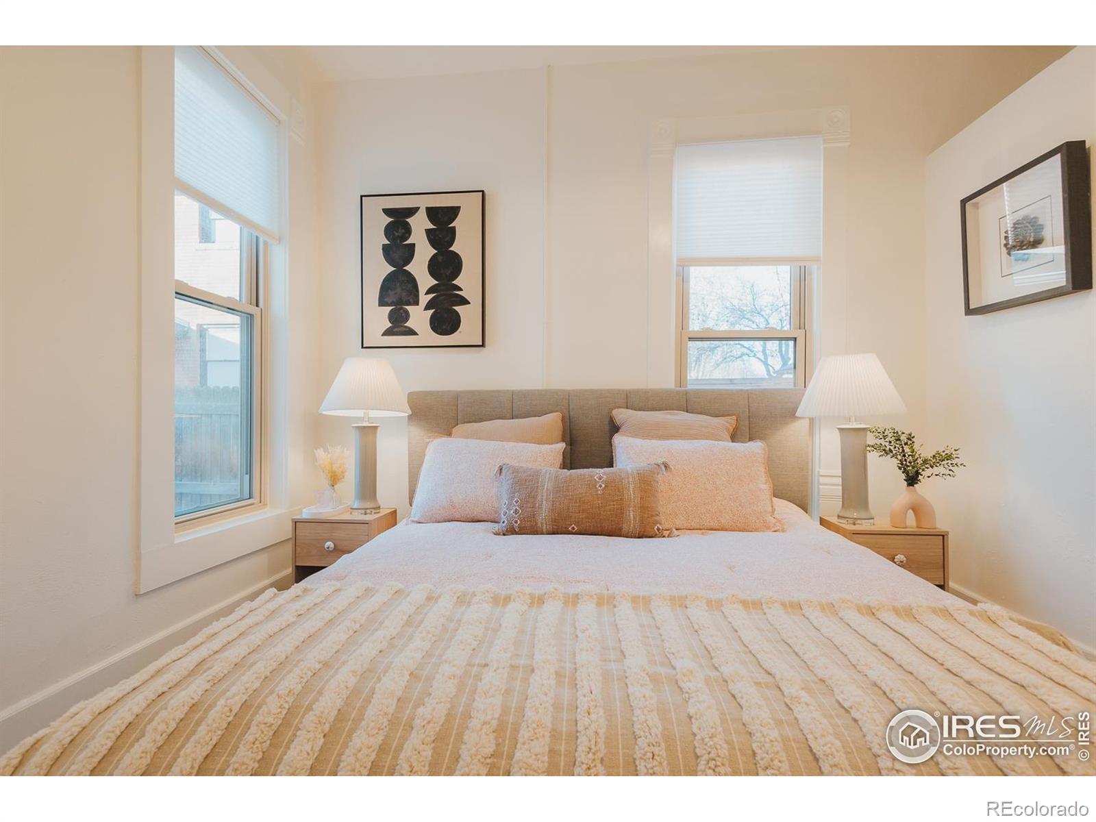 MLS Image #23 for 506 s howes street,fort collins, Colorado