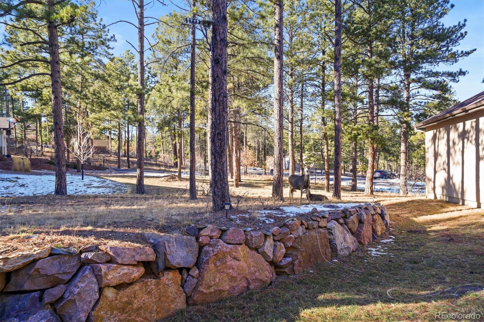 MLS Image #24 for 1240  kenosha drive,larkspur, Colorado