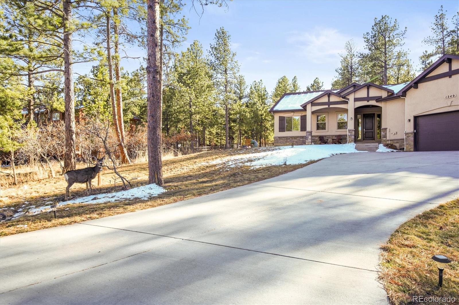 MLS Image #38 for 1240  kenosha drive,larkspur, Colorado
