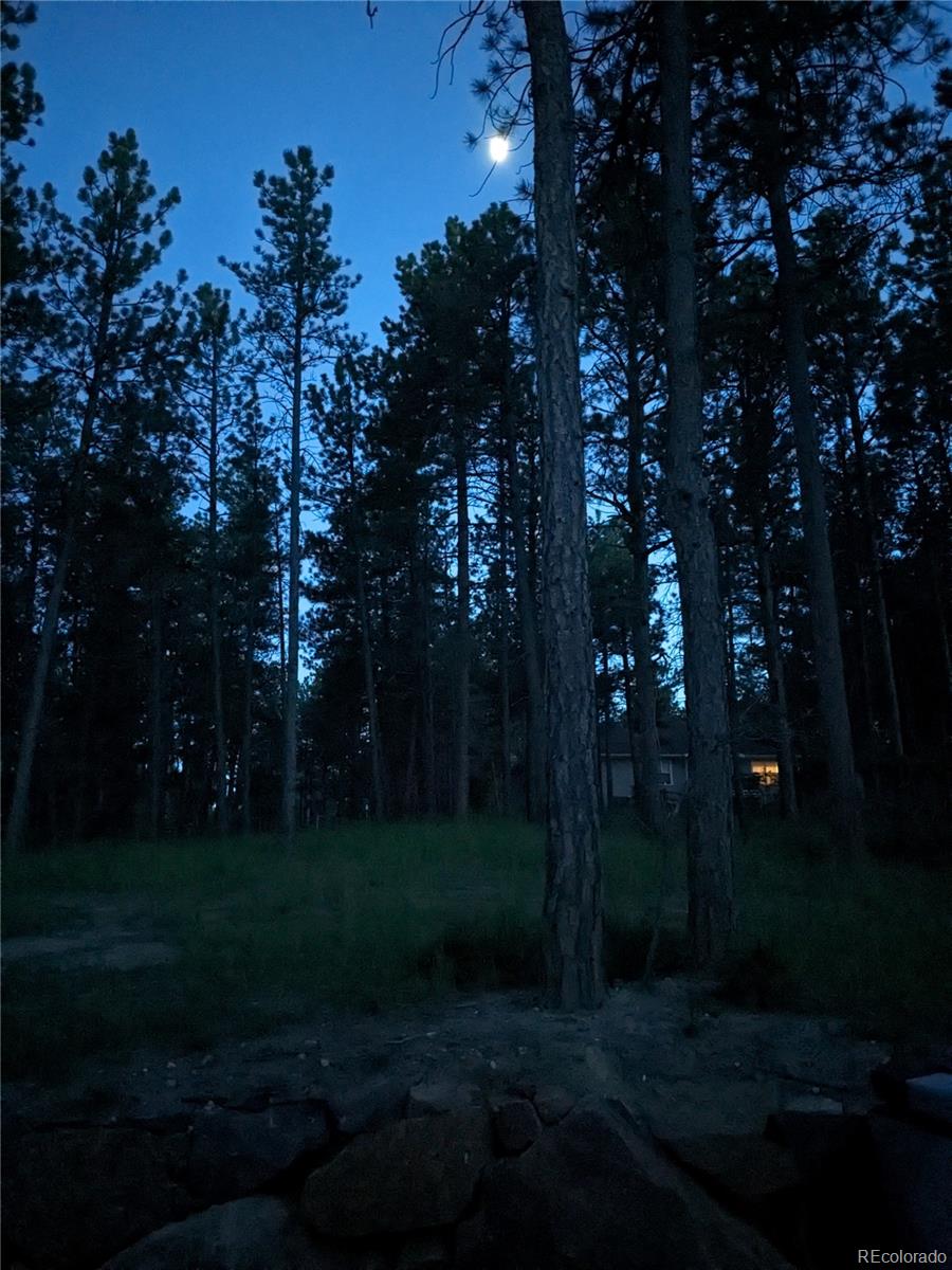 MLS Image #46 for 1240  kenosha drive,larkspur, Colorado