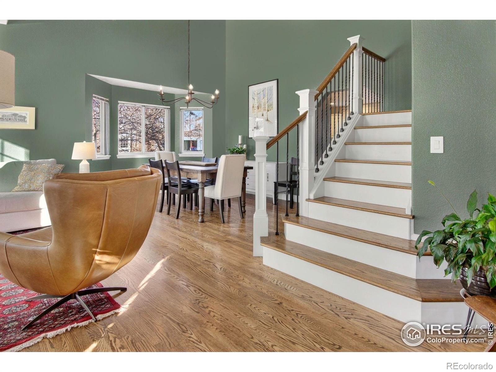 MLS Image #12 for 3543  cascade court,broomfield, Colorado