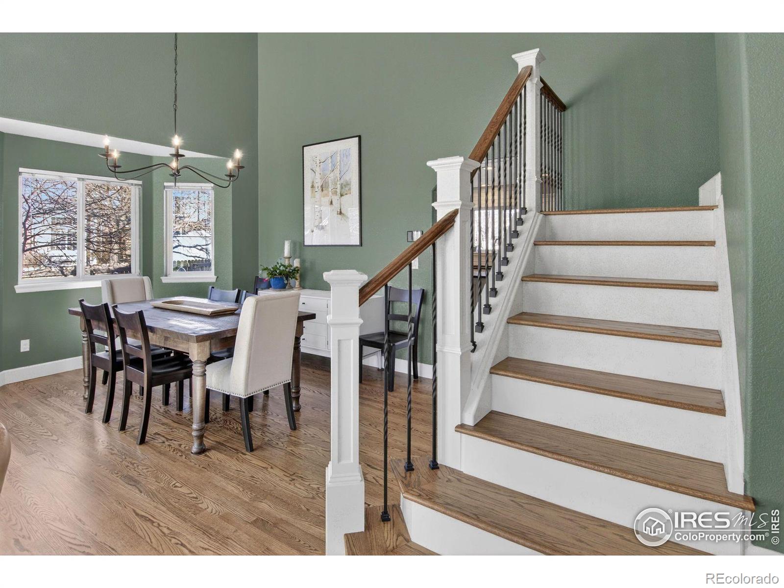 MLS Image #20 for 3543  cascade court,broomfield, Colorado