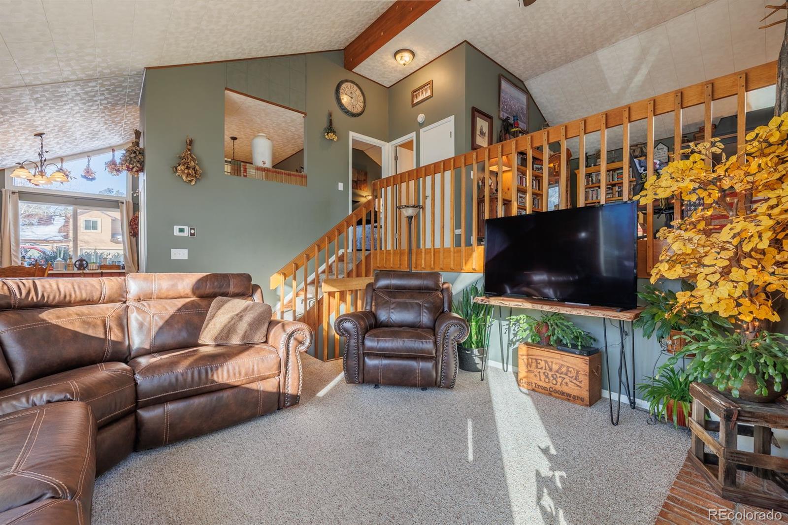 MLS Image #7 for 800  columbine village drive,woodland park, Colorado