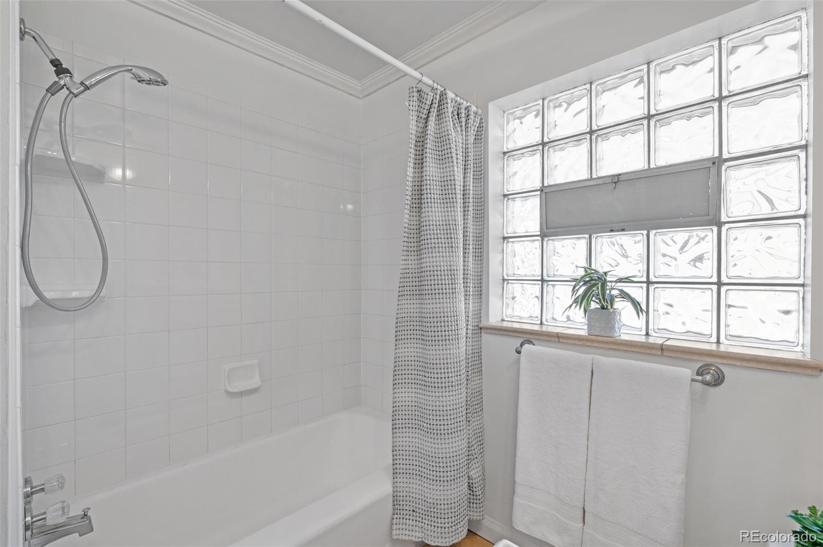 MLS Image #19 for 4841  golden court,denver, Colorado