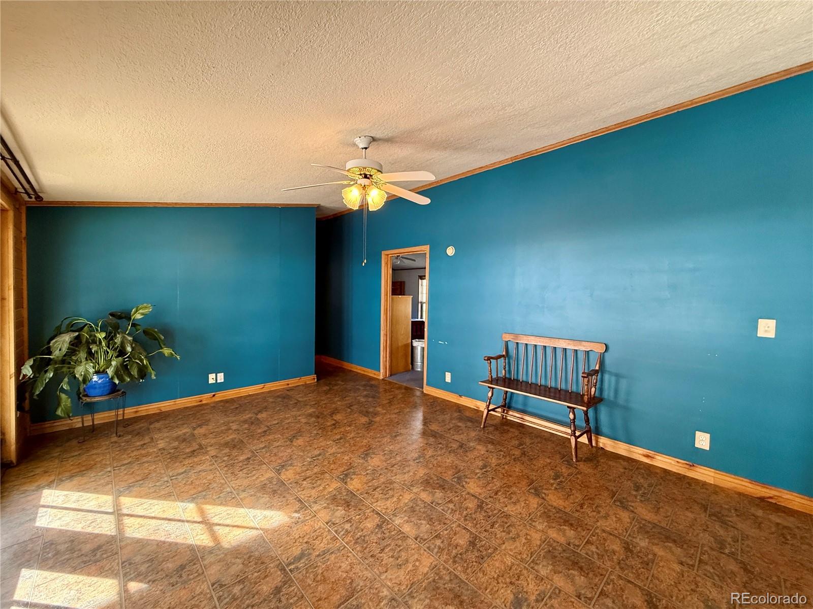 MLS Image #14 for 312 w ryus avenue,la veta, Colorado