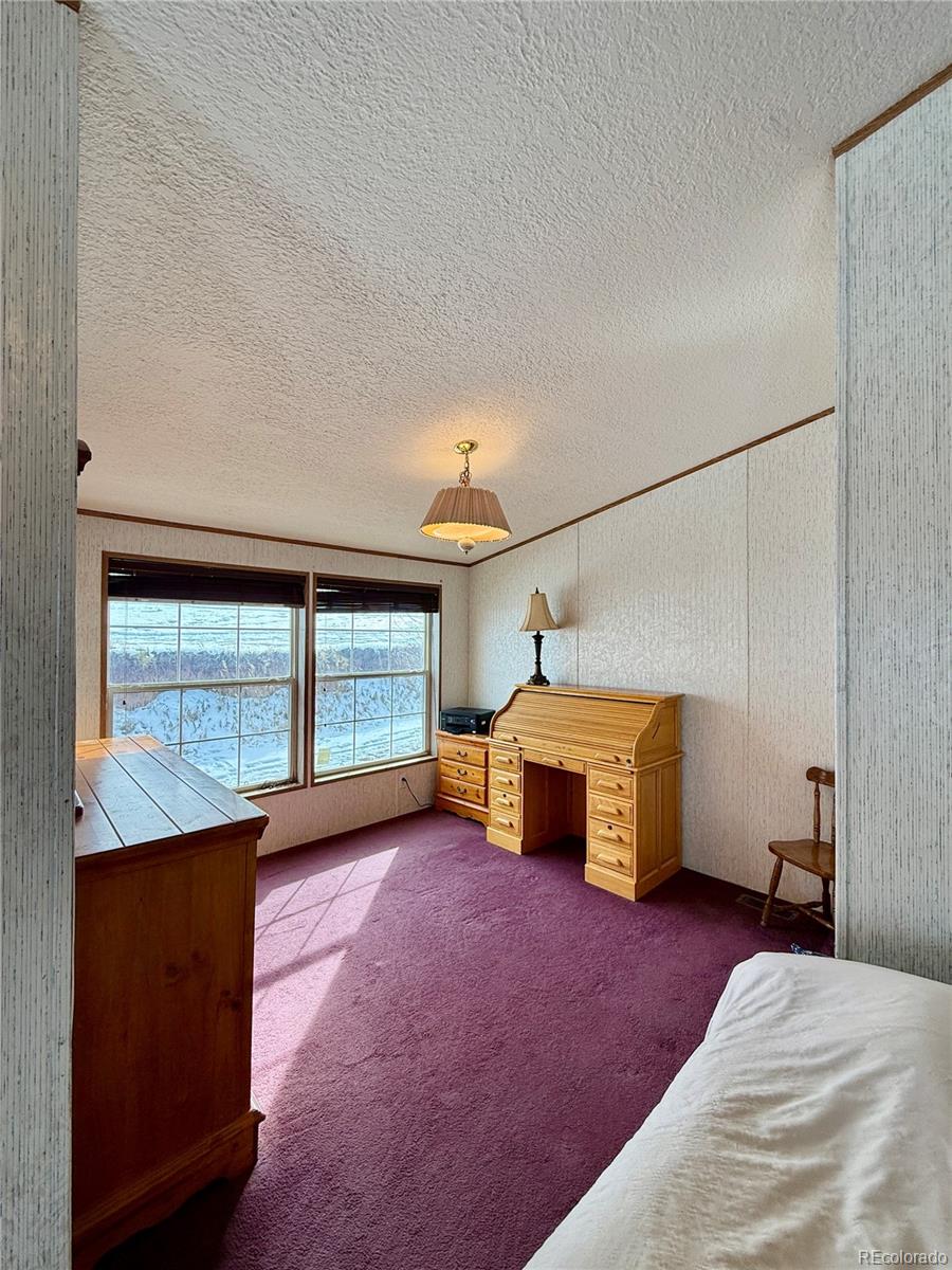 MLS Image #16 for 312 w ryus avenue,la veta, Colorado