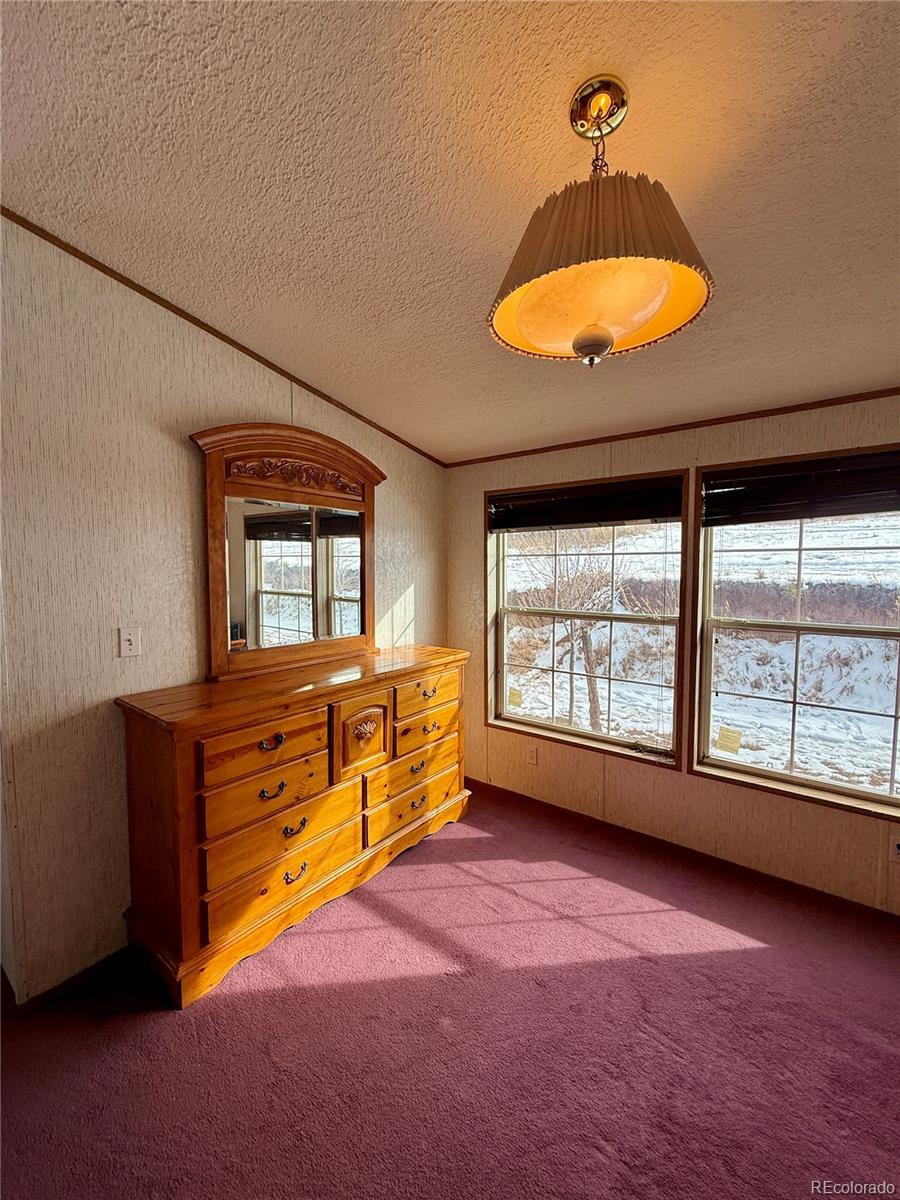 MLS Image #17 for 312 w ryus avenue,la veta, Colorado