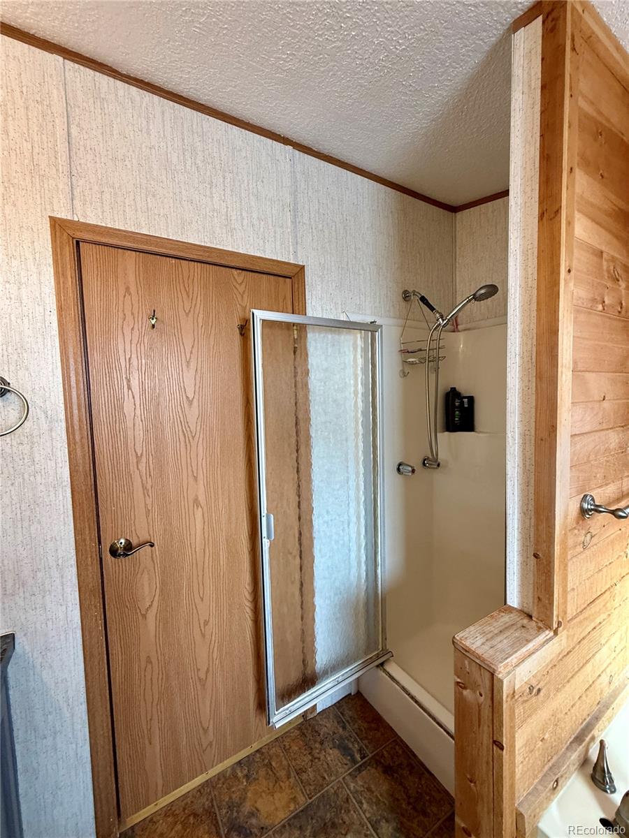 MLS Image #21 for 312 w ryus avenue,la veta, Colorado