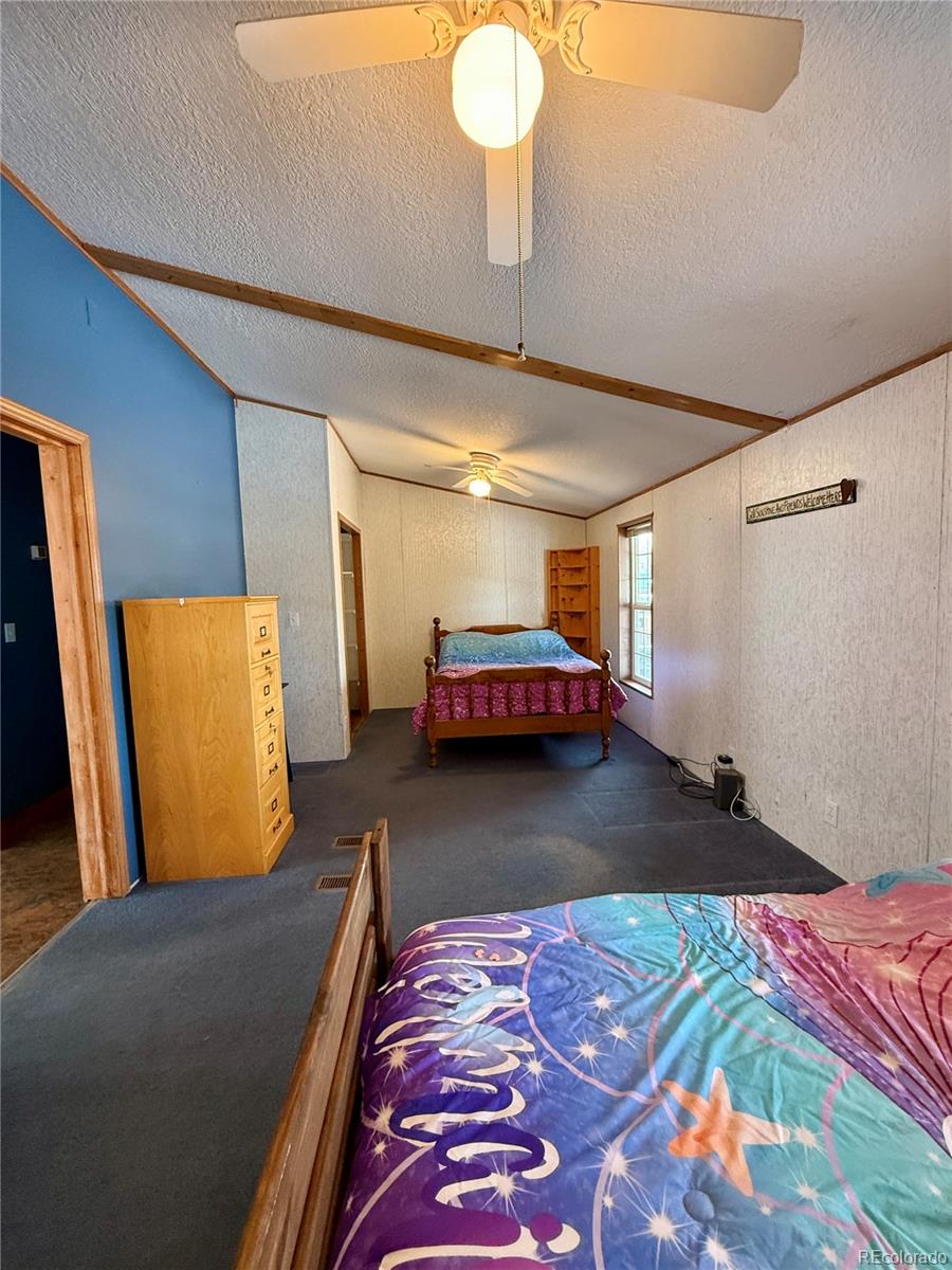 MLS Image #22 for 312 w ryus avenue,la veta, Colorado