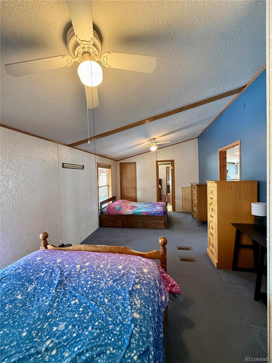 MLS Image #23 for 312 w ryus avenue,la veta, Colorado