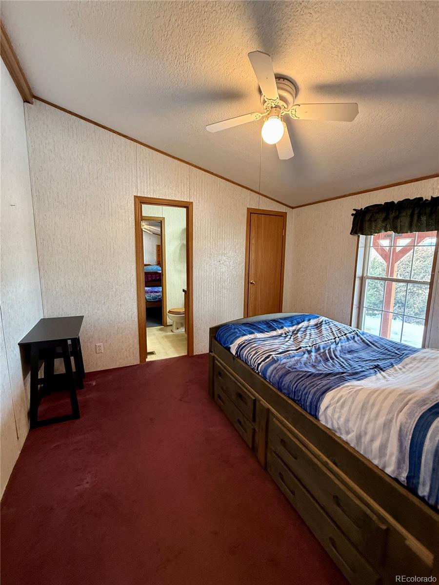 MLS Image #24 for 312 w ryus avenue,la veta, Colorado