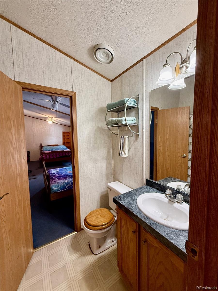 MLS Image #26 for 312 w ryus avenue,la veta, Colorado