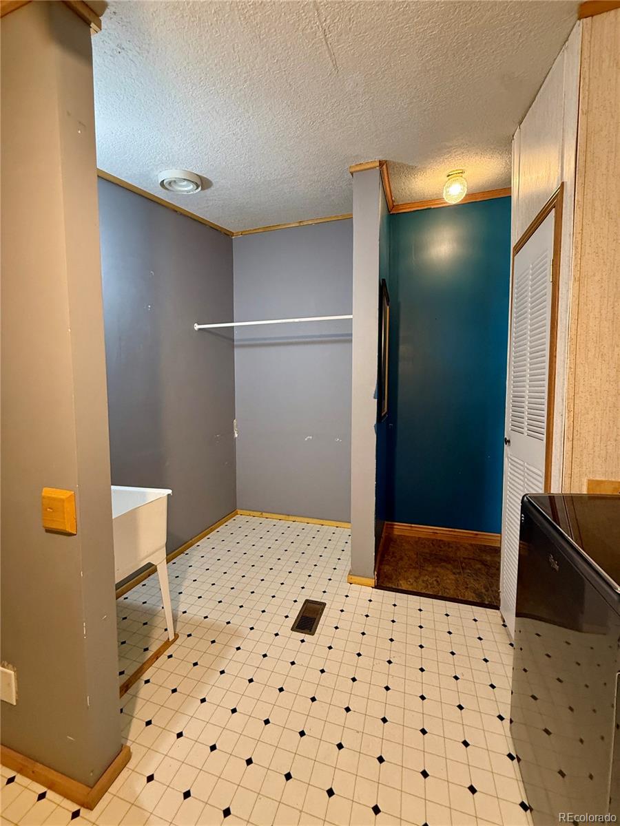 MLS Image #29 for 312 w ryus avenue,la veta, Colorado