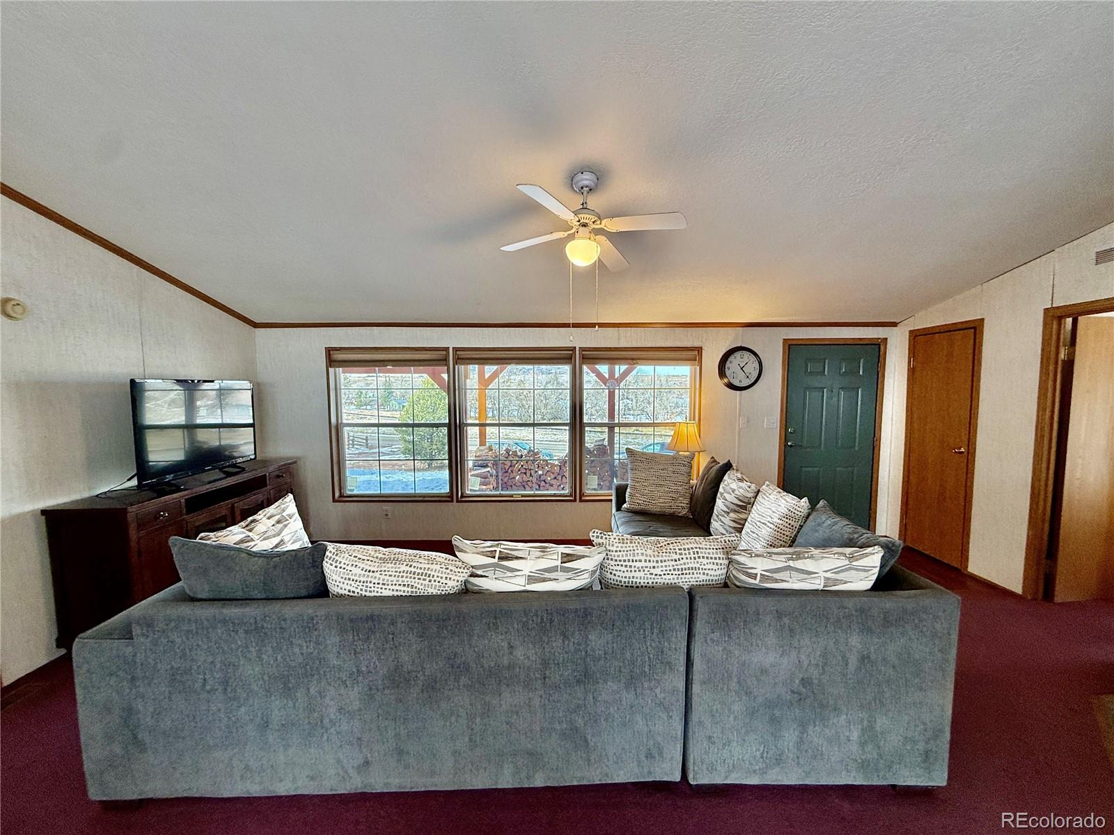 MLS Image #4 for 312 w ryus avenue,la veta, Colorado