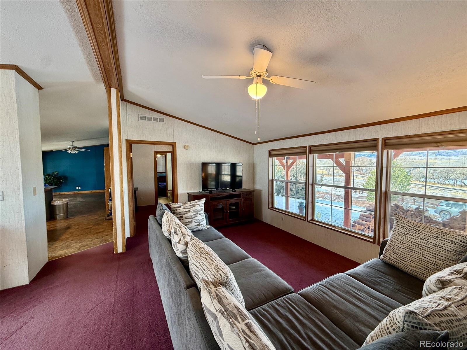 MLS Image #6 for 312 w ryus avenue,la veta, Colorado