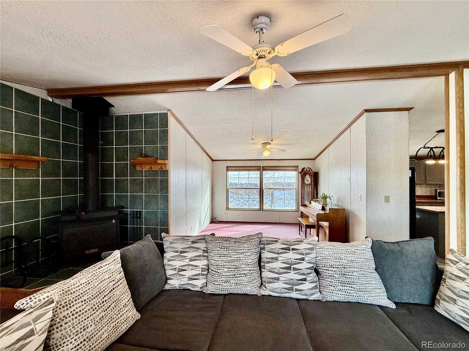 MLS Image #7 for 312 w ryus avenue,la veta, Colorado