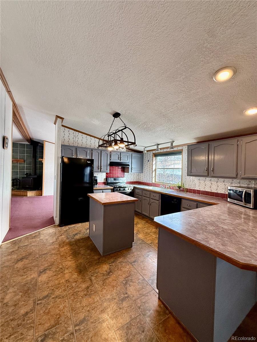 MLS Image #8 for 312 w ryus avenue,la veta, Colorado