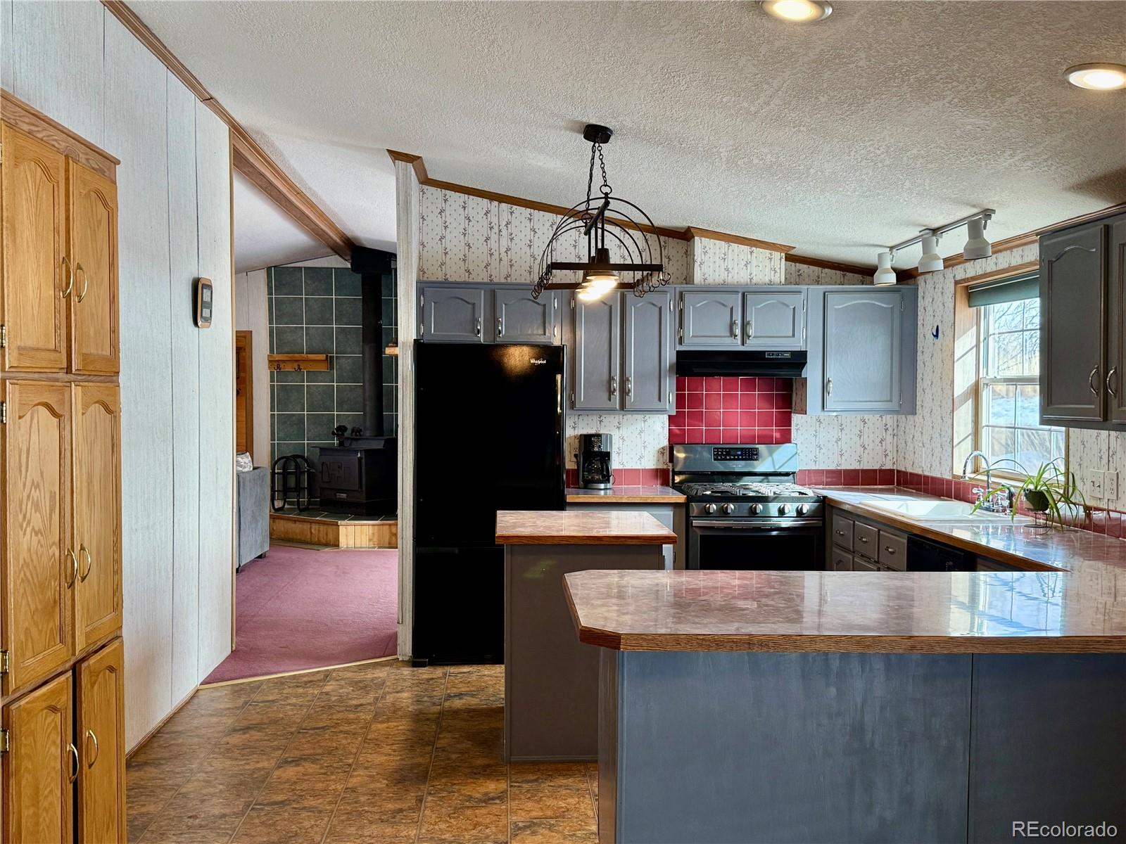 MLS Image #9 for 312 w ryus avenue,la veta, Colorado