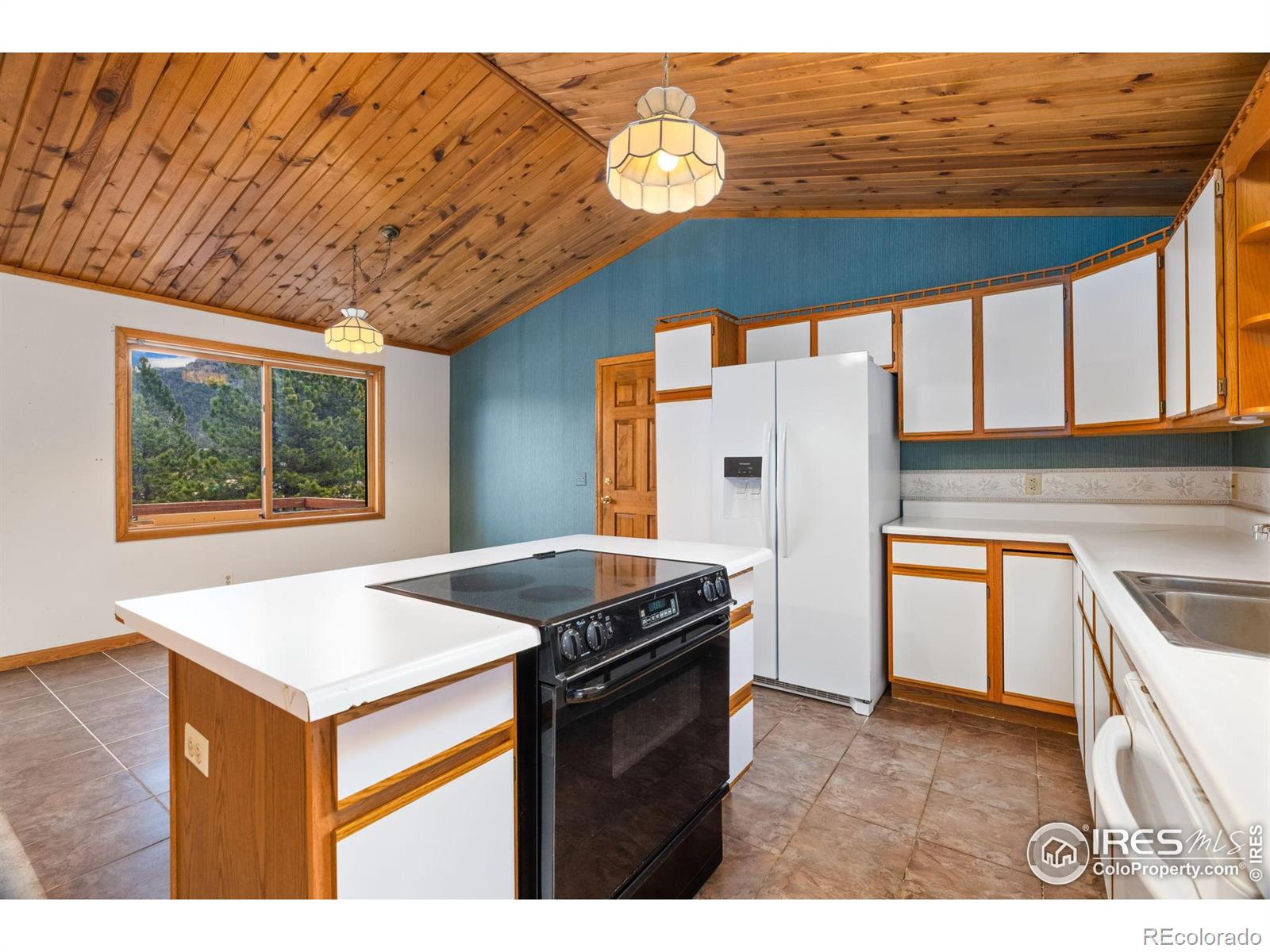 MLS Image #11 for 2151  larkspur avenue,estes park, Colorado