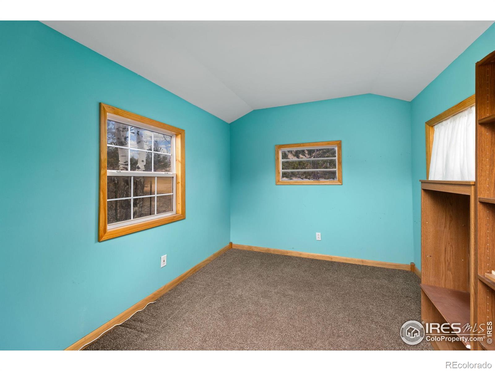 MLS Image #22 for 2151  larkspur avenue,estes park, Colorado