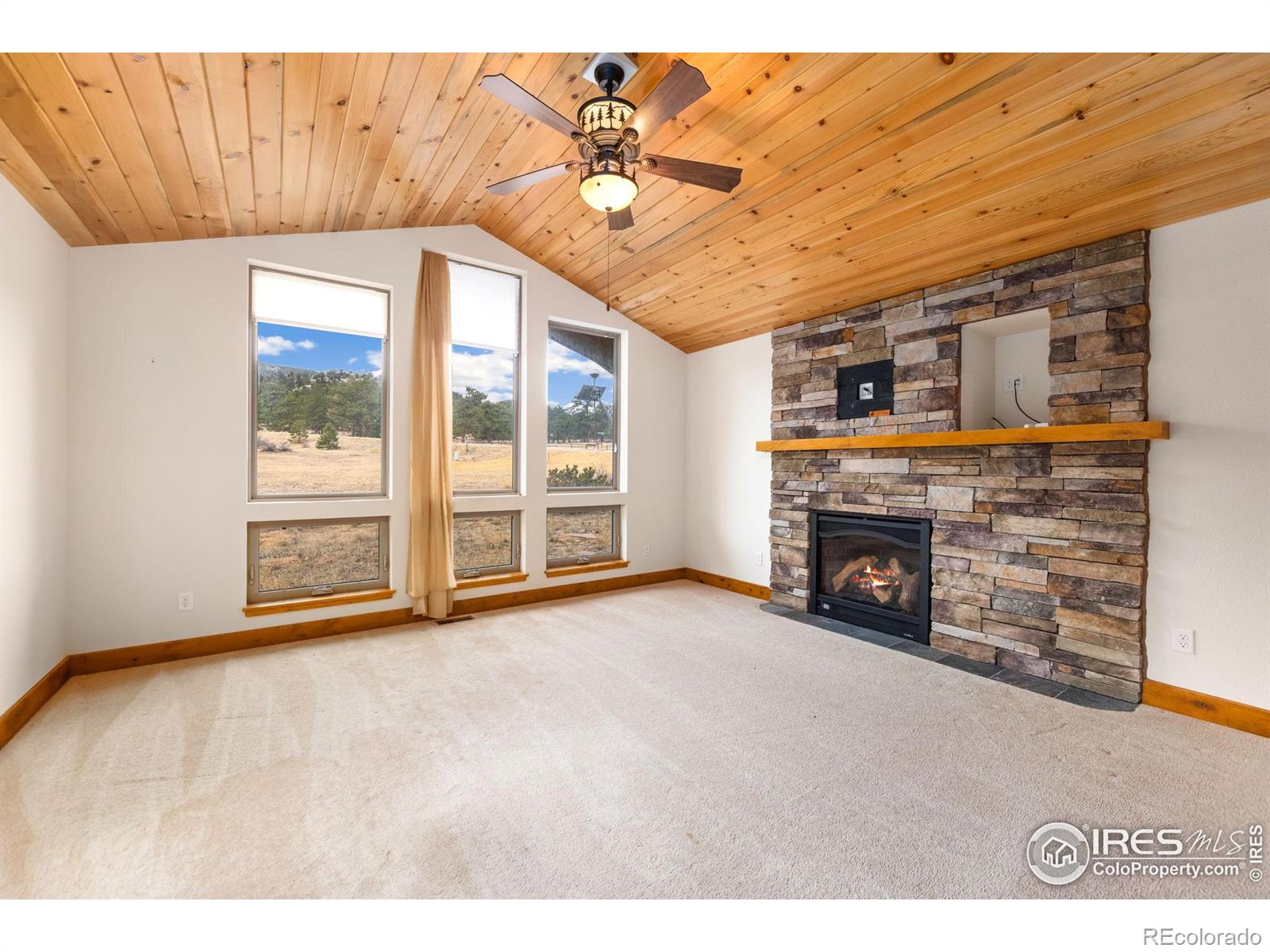 MLS Image #4 for 2151  larkspur avenue,estes park, Colorado