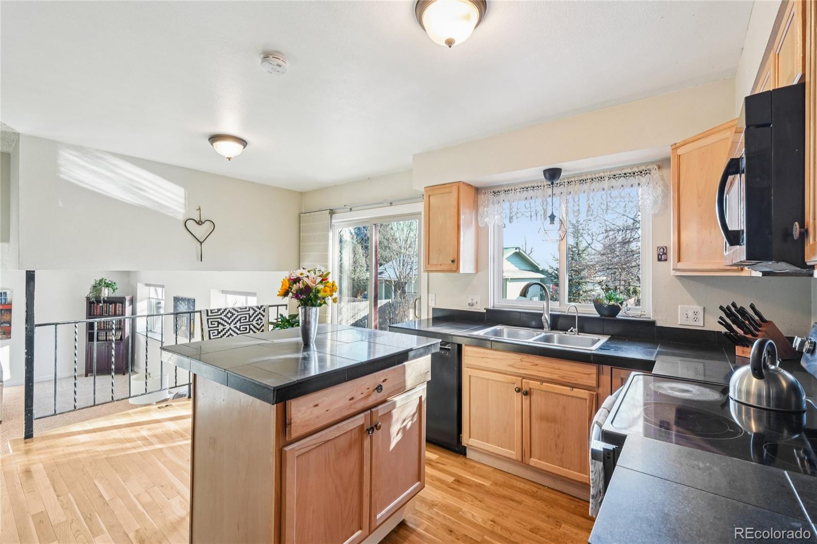 MLS Image #8 for 231  hoover avenue,louisville, Colorado