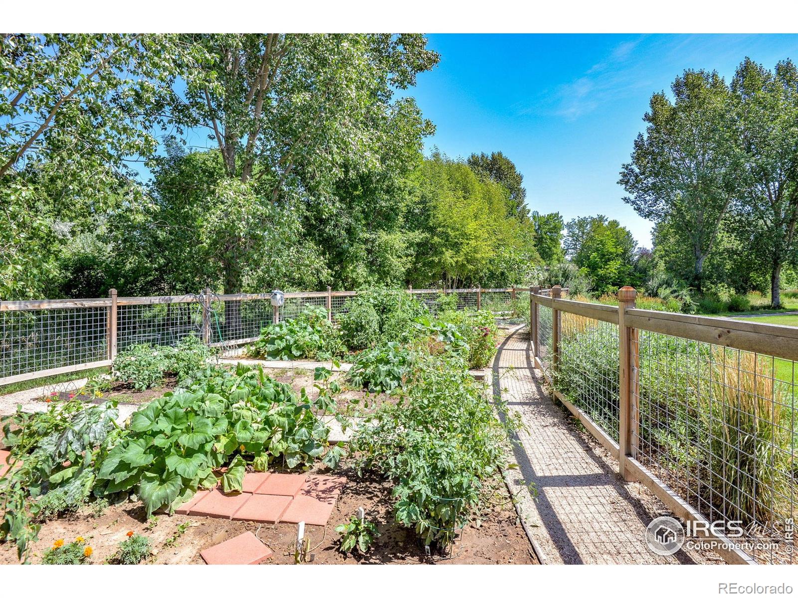 MLS Image #47 for 2656  paddington road,fort collins, Colorado