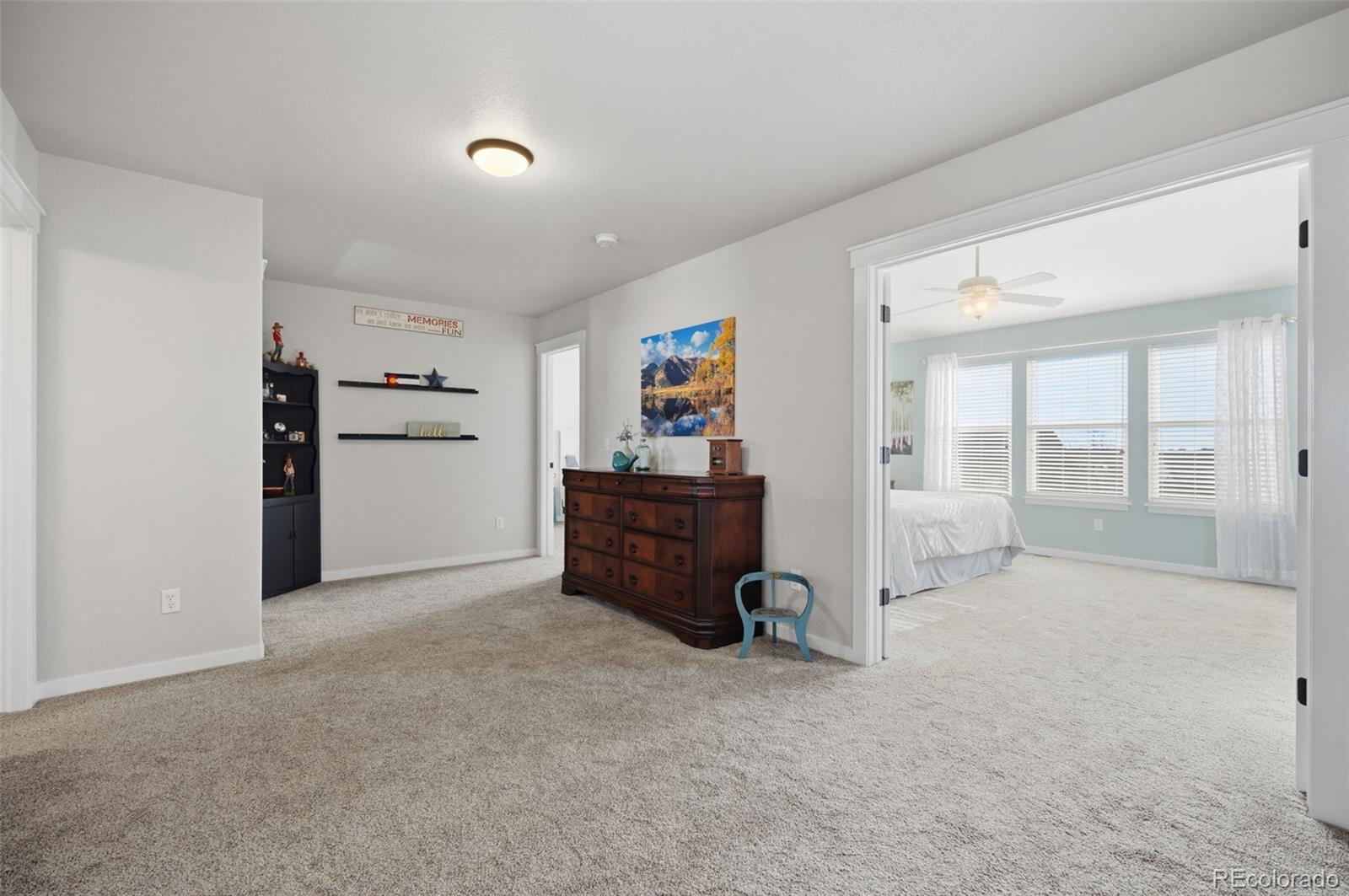 MLS Image #21 for 5851  yancey drive,colorado springs, Colorado