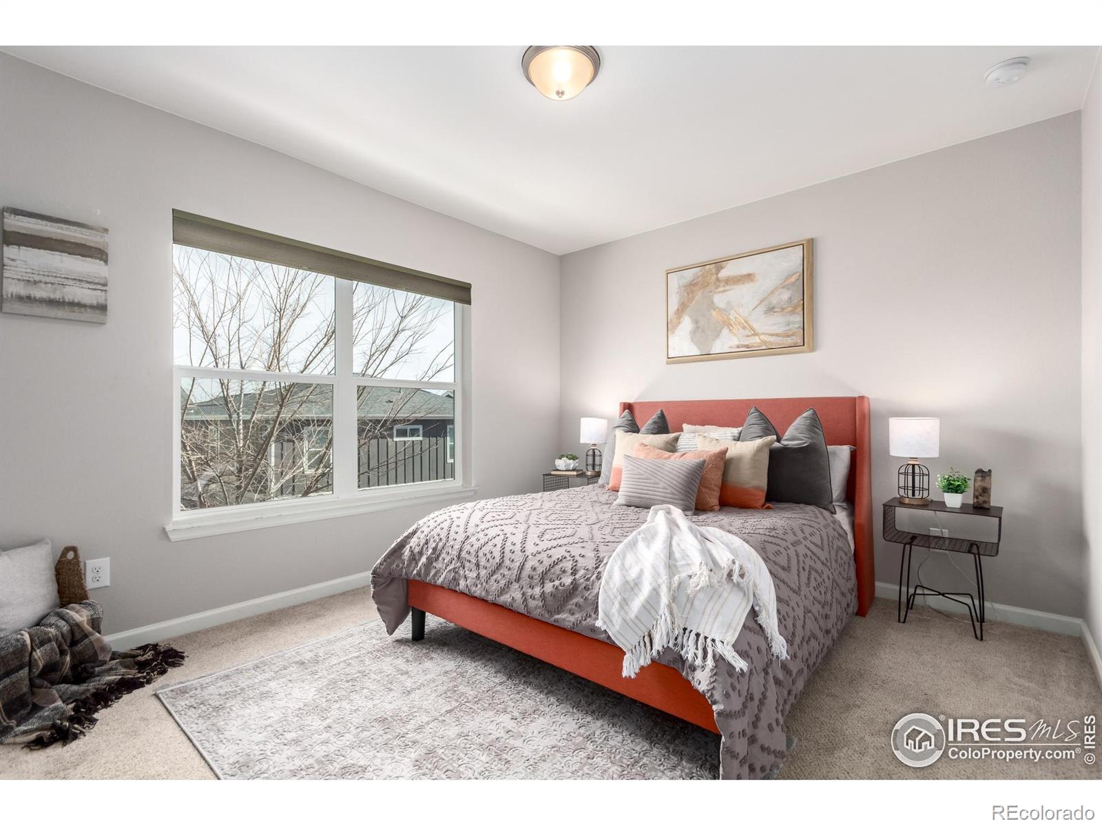 MLS Image #25 for 7956  osage street,denver, Colorado