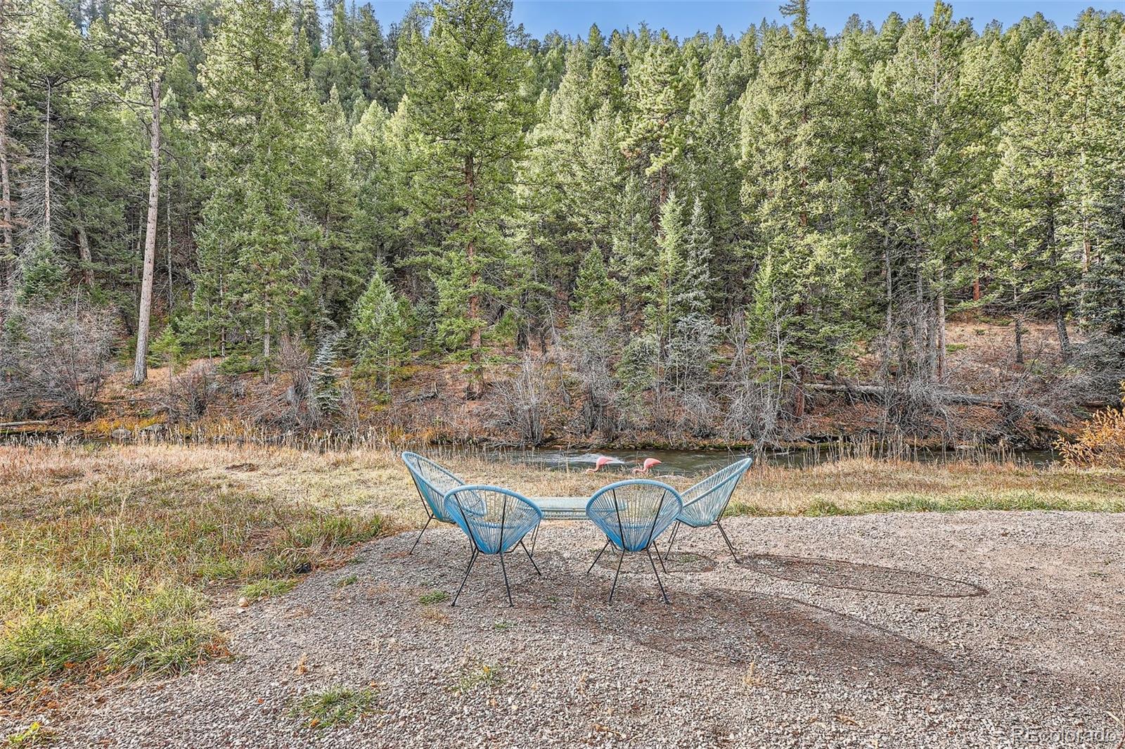 MLS Image #27 for 55  iron horse lane,bailey, Colorado
