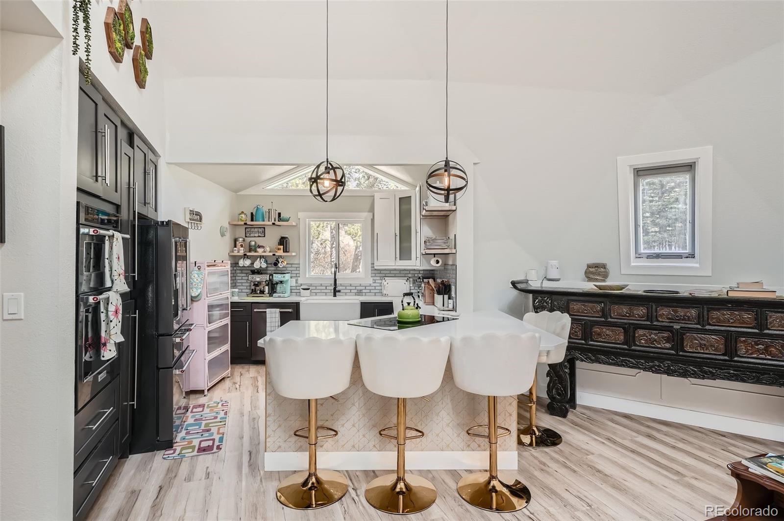 MLS Image #6 for 55  iron horse lane,bailey, Colorado
