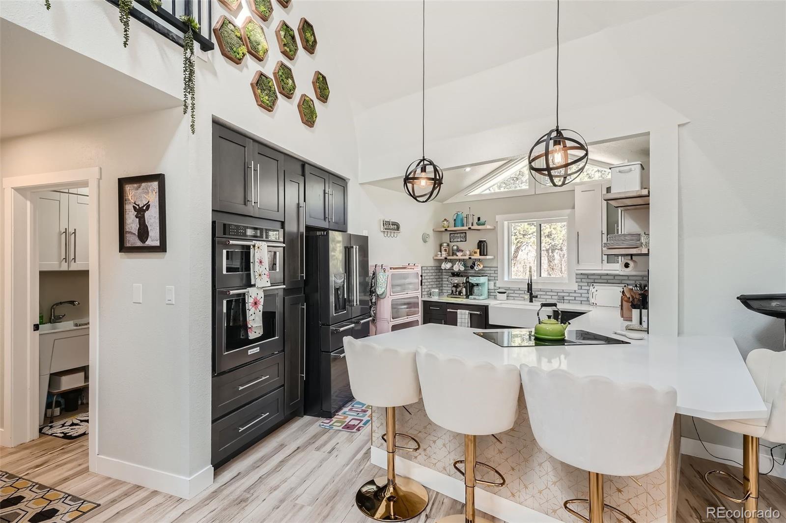 MLS Image #9 for 55  iron horse lane,bailey, Colorado