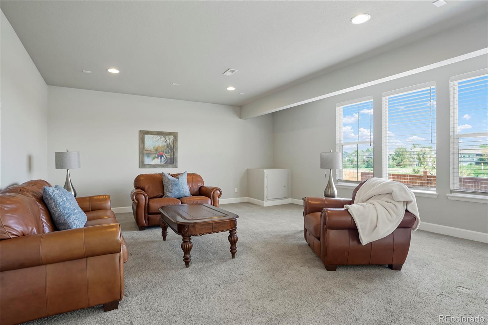 MLS Image #30 for 10114  atlanta street,parker, Colorado