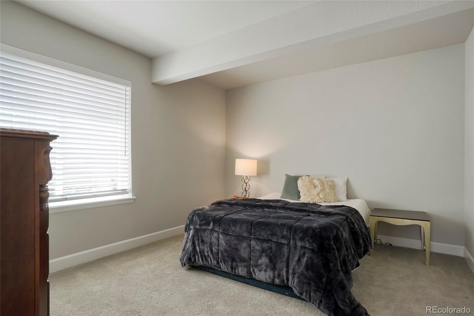 MLS Image #31 for 10114  atlanta street,parker, Colorado