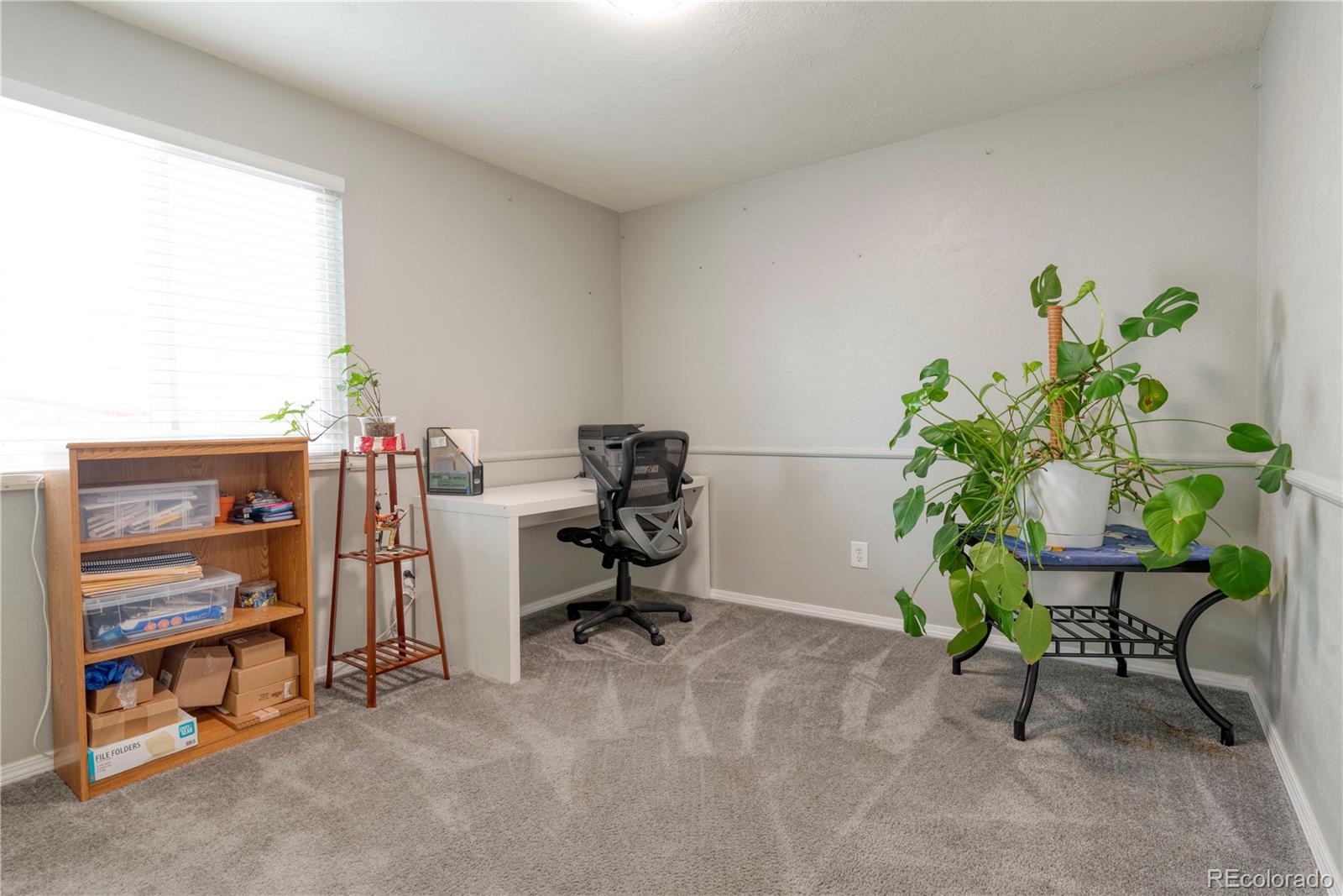 MLS Image #12 for 7328 s sheephorn mountain,littleton, Colorado