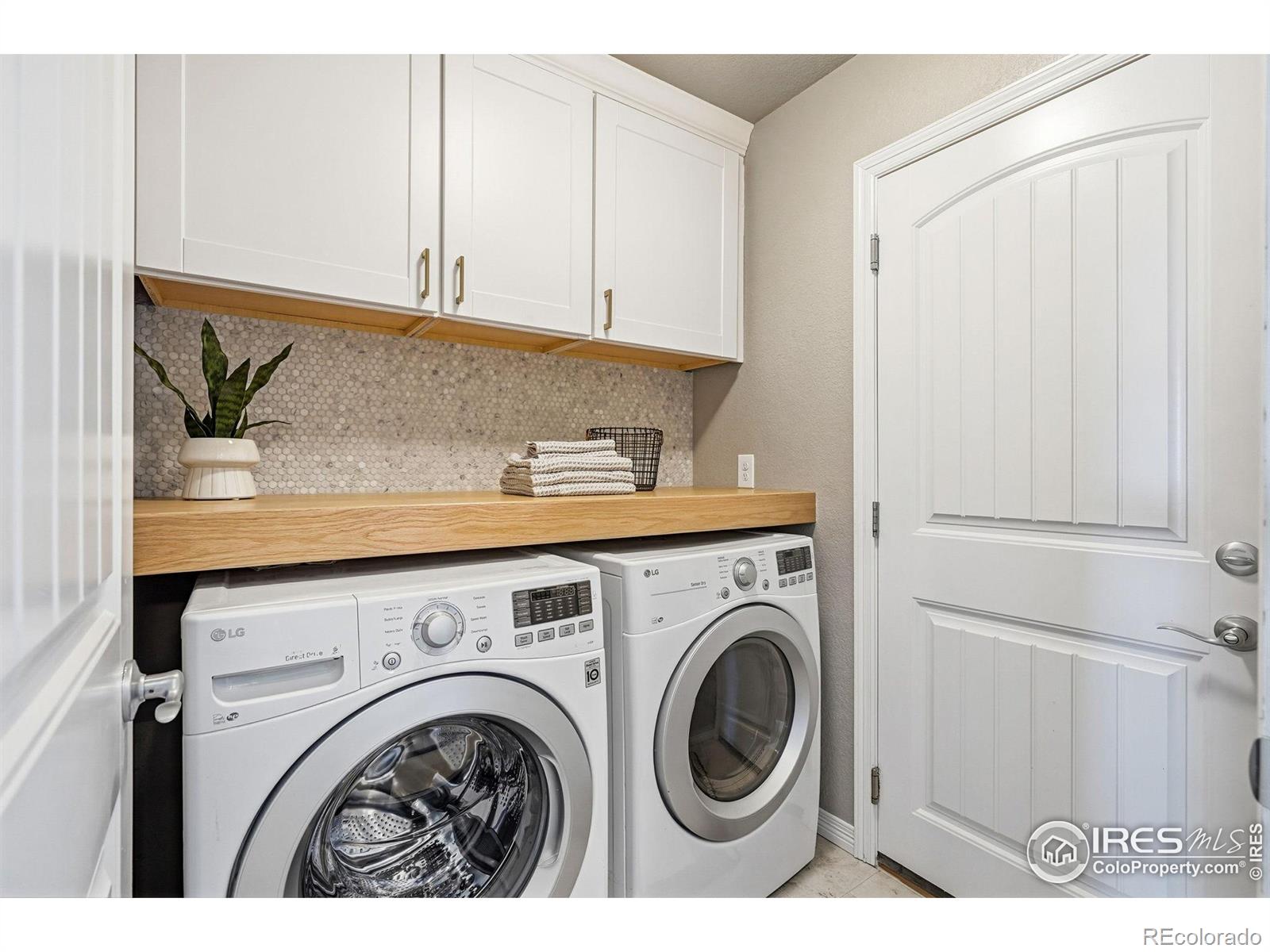 MLS Image #14 for 551  capitol reef court,berthoud, Colorado