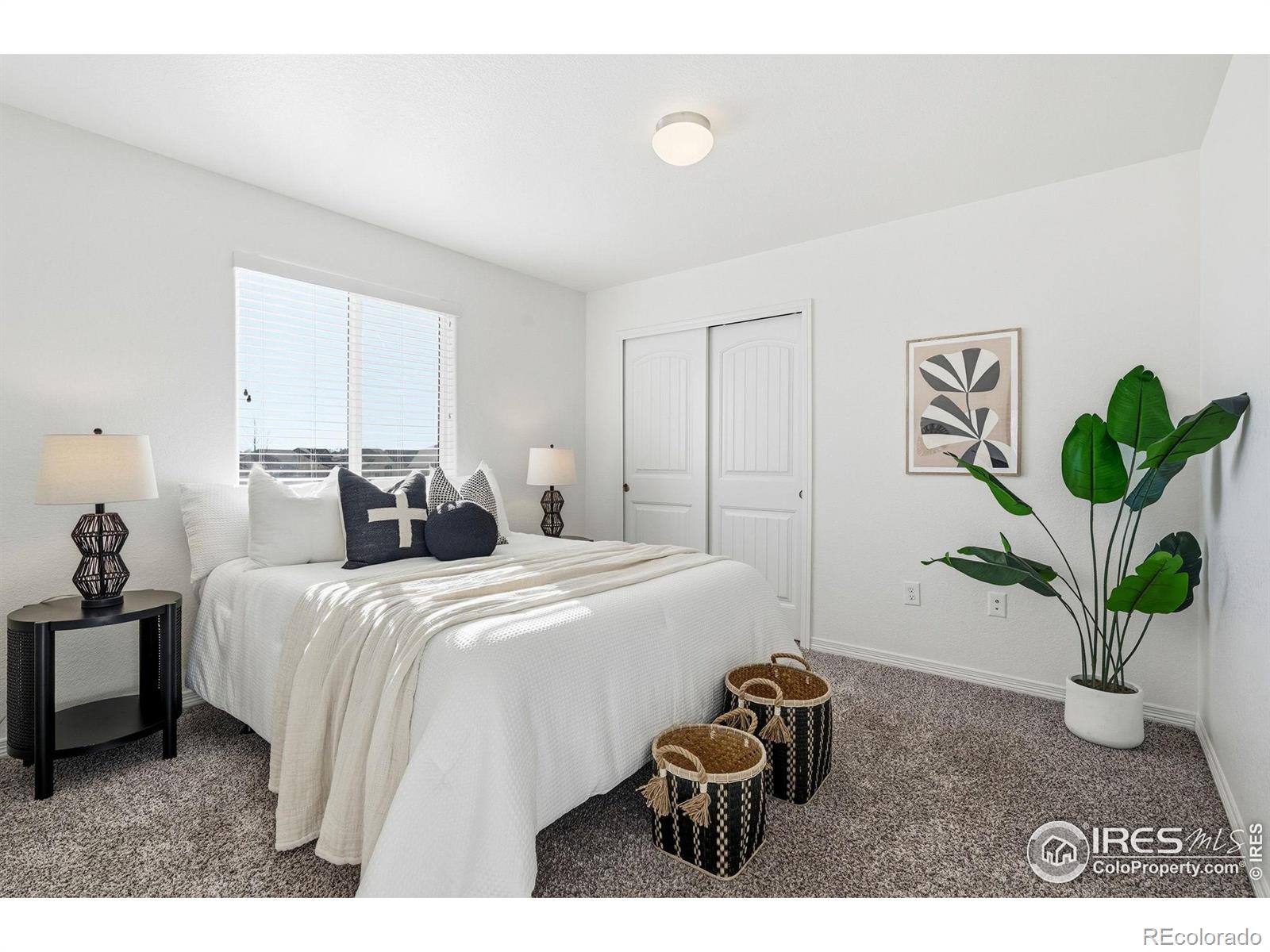 MLS Image #20 for 551  capitol reef court,berthoud, Colorado