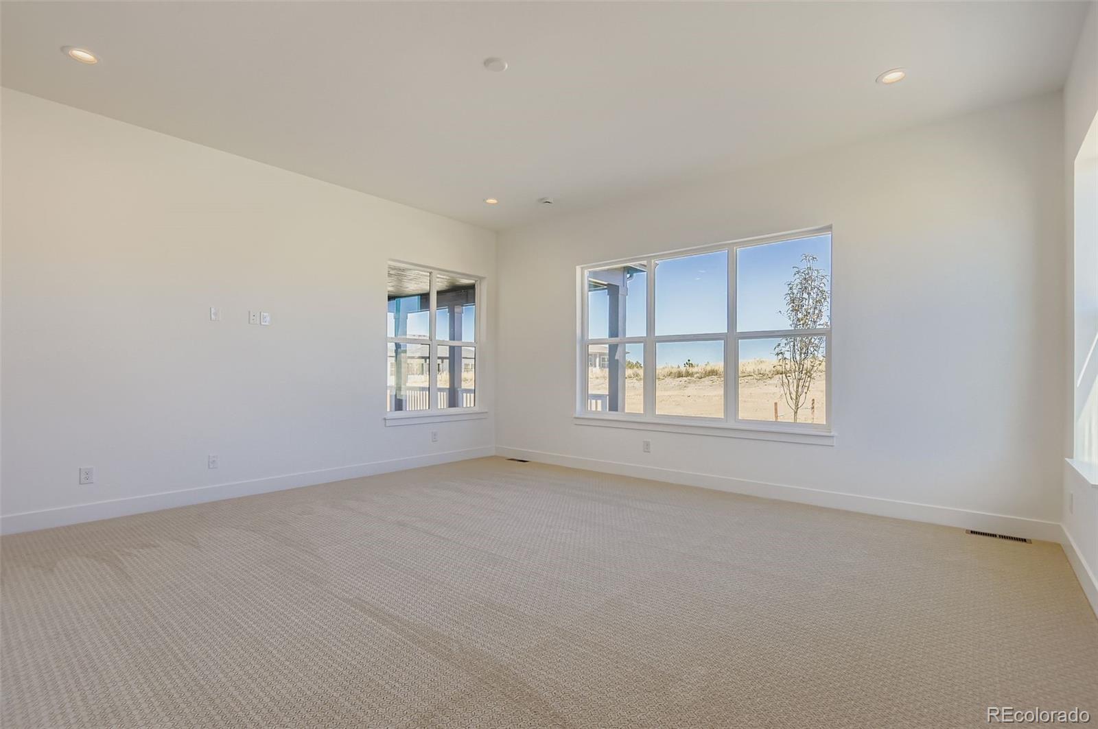 MLS Image #16 for 462  agoseris way,castle rock, Colorado
