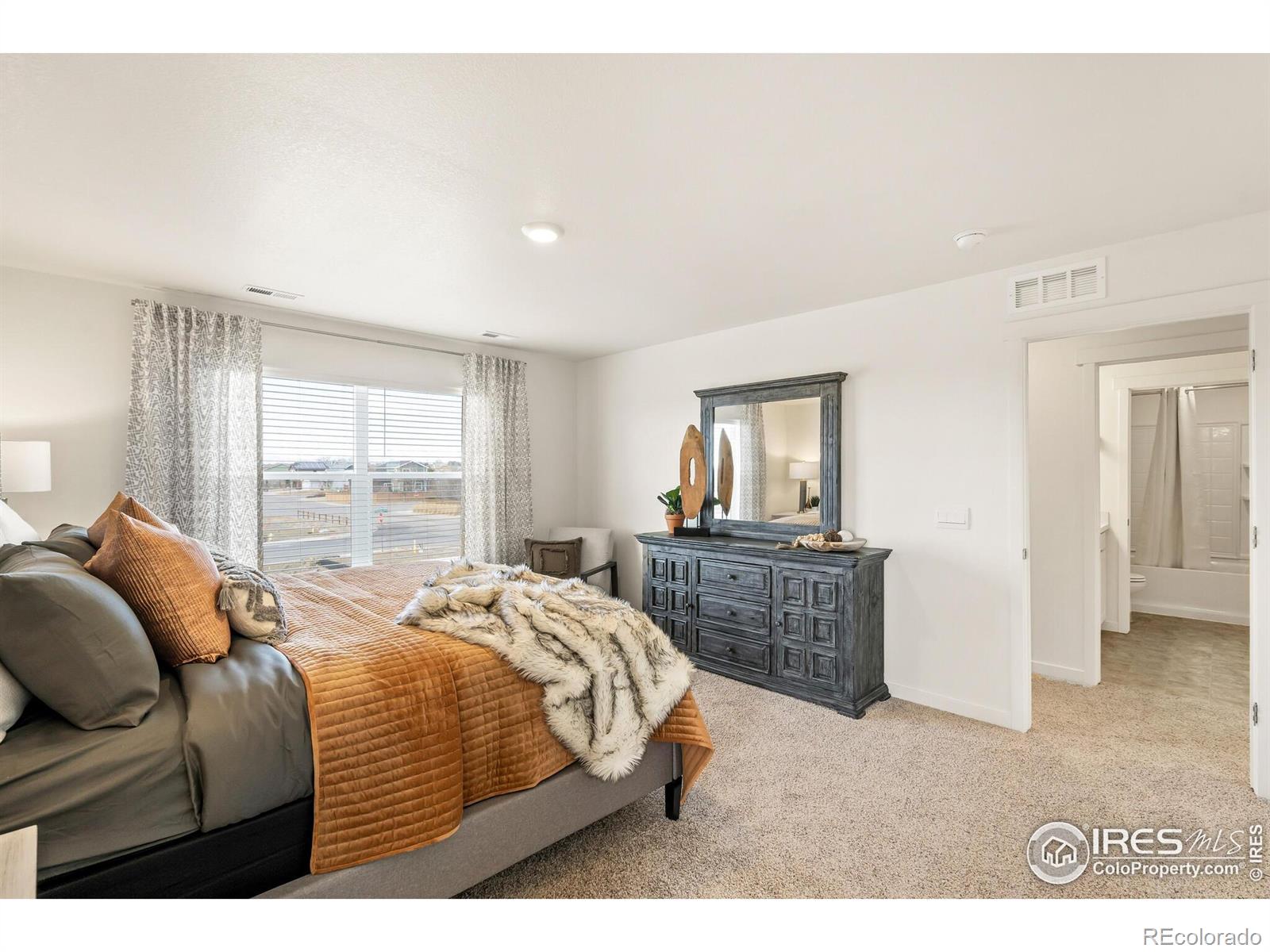 MLS Image #19 for 938  london way,severance, Colorado