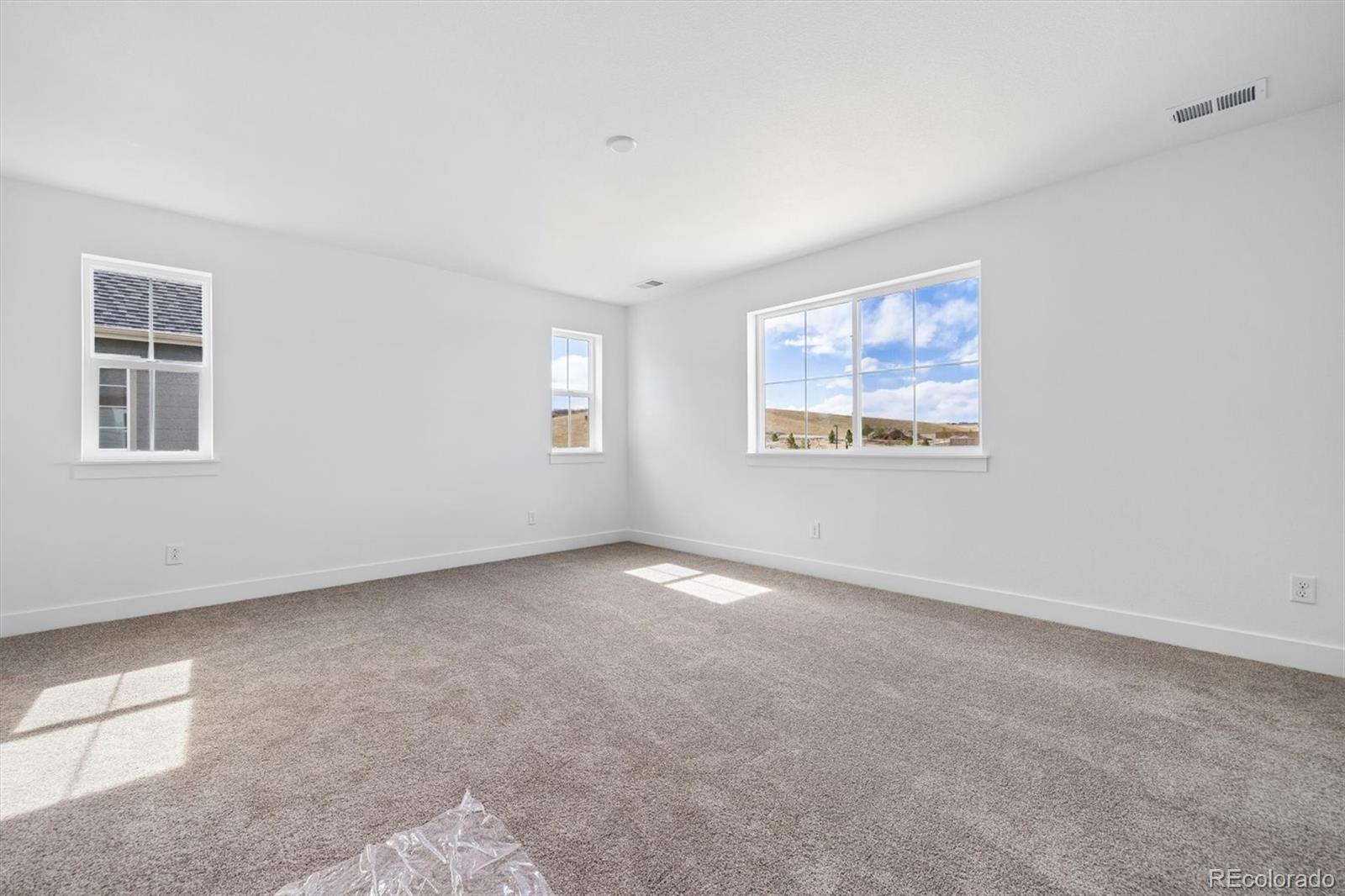MLS Image #17 for 16157  amaryllis avenue,parker, Colorado