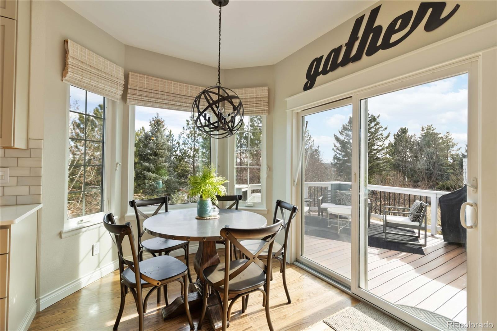 MLS Image #18 for 10316  tracery court,parker, Colorado
