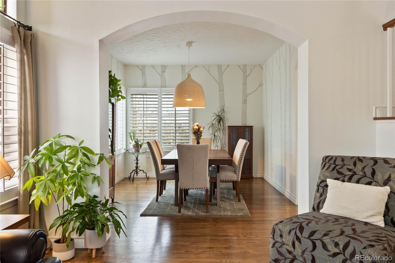 MLS Image #20 for 10316  tracery court,parker, Colorado