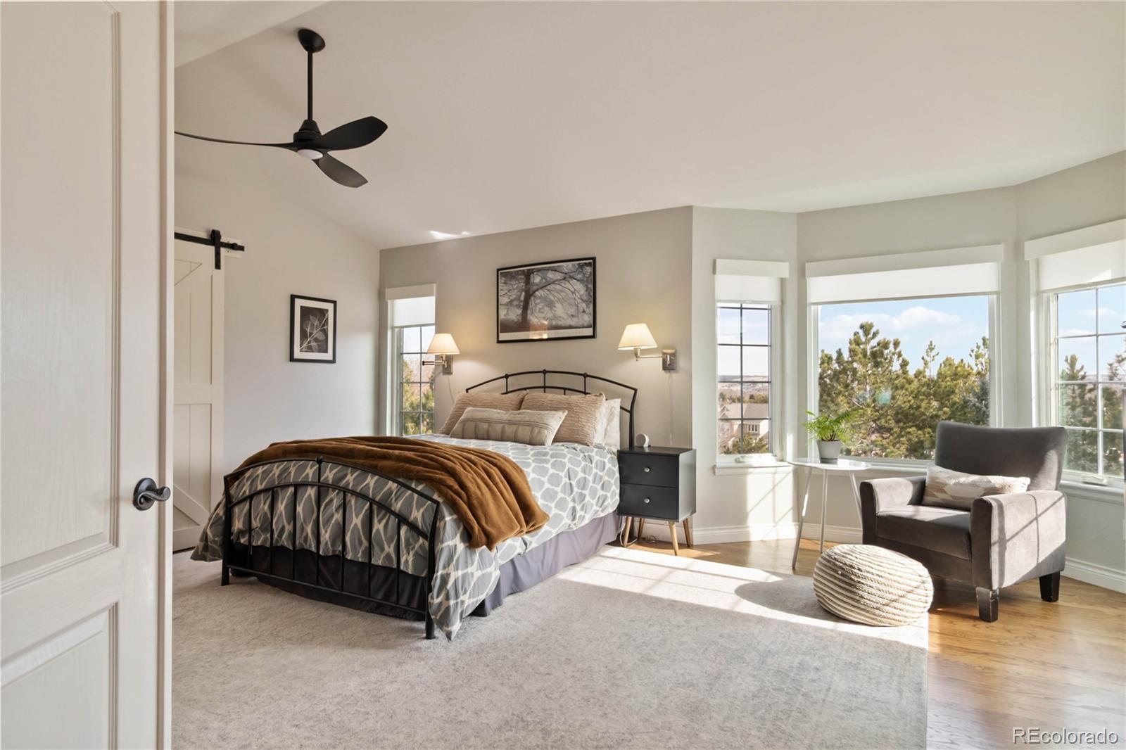 MLS Image #24 for 10316  tracery court,parker, Colorado