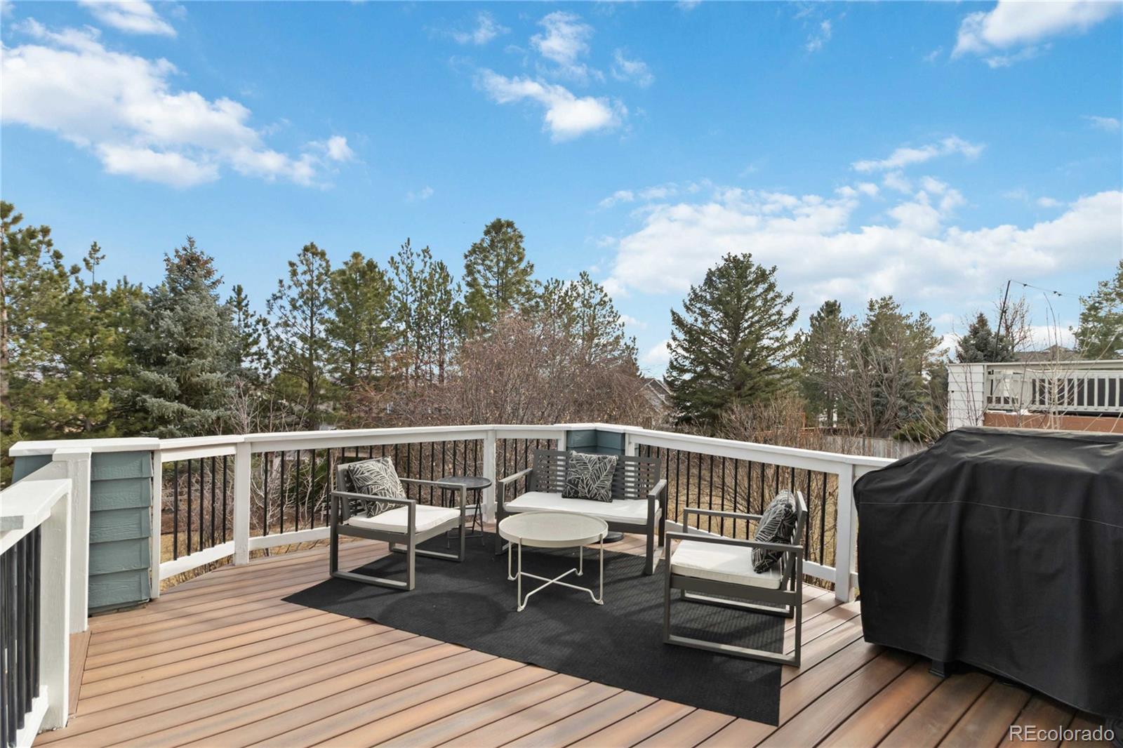 MLS Image #41 for 10316  tracery court,parker, Colorado
