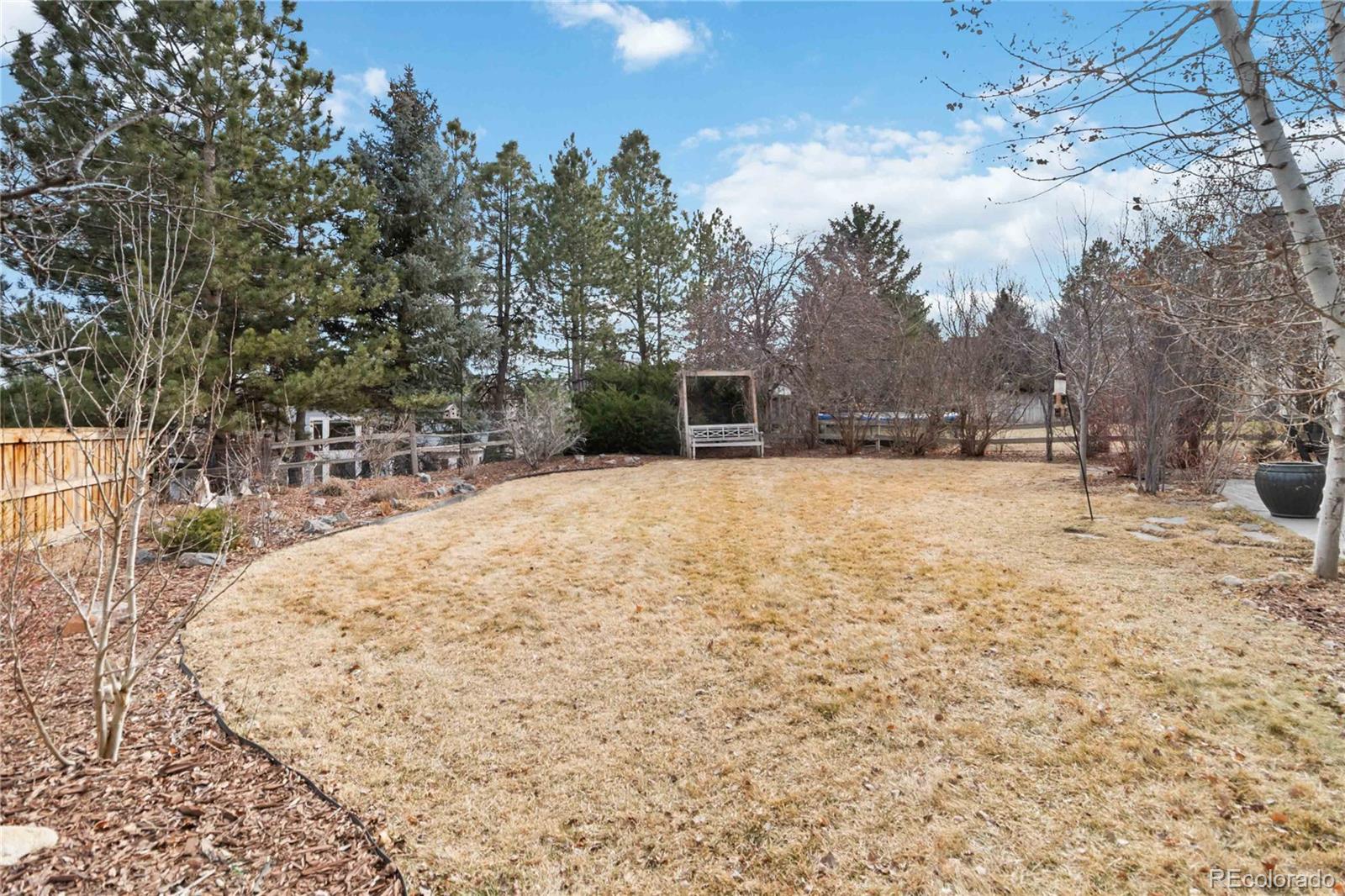 MLS Image #42 for 10316  tracery court,parker, Colorado